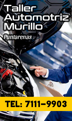 Taller Murillo 240x400